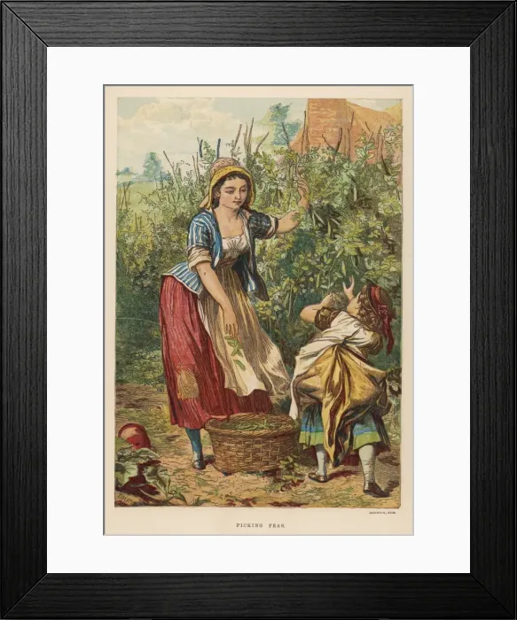 Framed Print : Girls Pick Peas 1873 Framed Print : Girls Pick Peas 1873