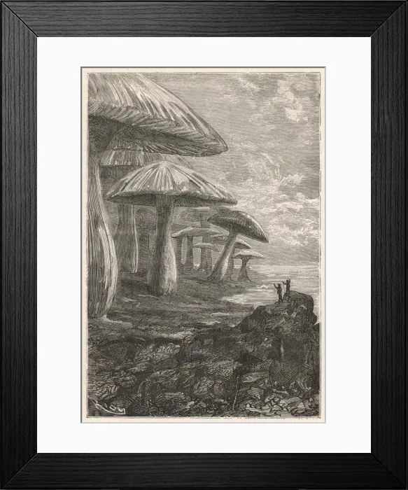 Framed Print : Book / Verne / Centre Earth Framed Print : Book / Verne / Centre Earth