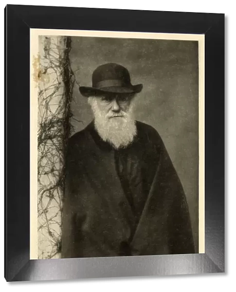 Charles Darwin  /  Column