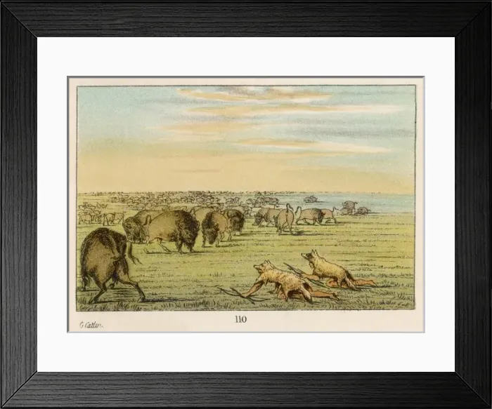 Framed Print : Catlin / Sioux as Wolves Framed Print : Catlin / Sioux as Wolves