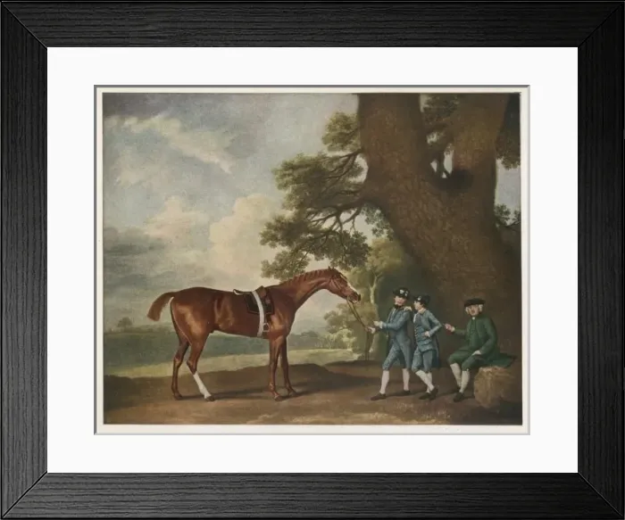 Framed Print : ECLIPSE. Great-grandson of Darley Arabian, raced 1769-1770 in 18 races Framed Print : ECLIPSE. Great-grandson of Darley Arabian, raced 1769-1770 in 18 races