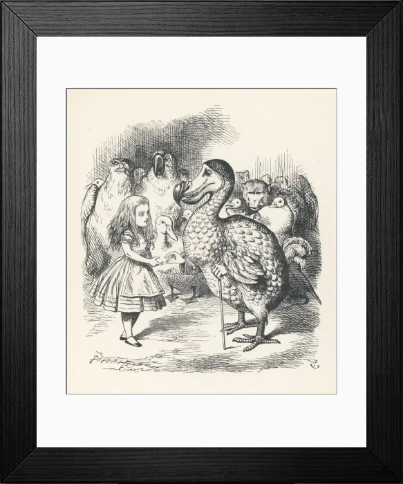 Framed Print : Carroll / Alice & the Dodo Framed Print : Carroll / Alice & the Dodo
