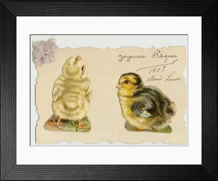 Framed Print : TWO CHICKS Framed Print : TWO CHICKS