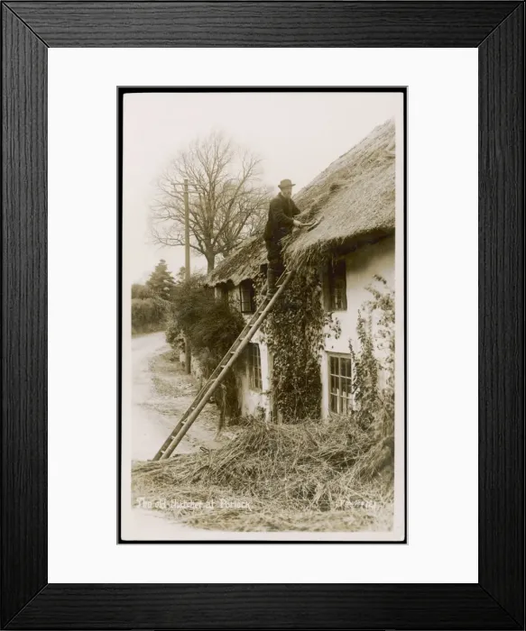 Framed Print : Thatching at Porlock Framed Print : Thatching at Porlock