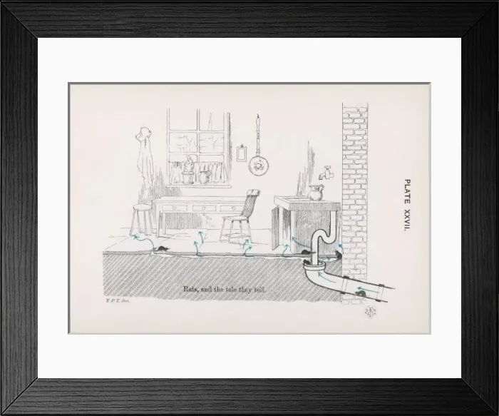 Framed Print : A House Full of Rats Framed Print : A House Full of Rats