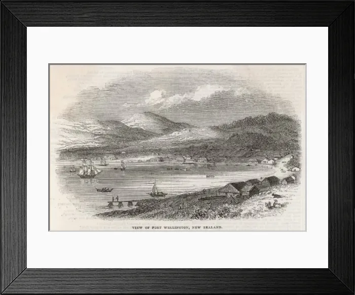 Framed Print : New Zealand / Wellington Framed Print : New Zealand / Wellington