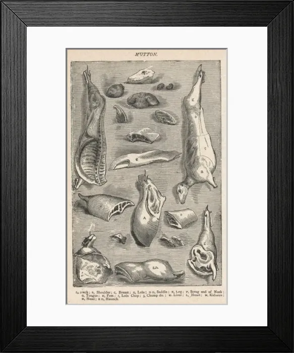 Framed Print : Various Cuts of Mutton Framed Print : Various Cuts of Mutton