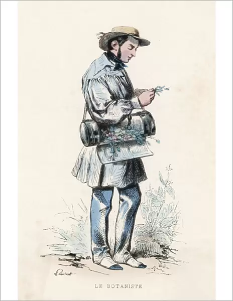 Botanist at Work  /  1850