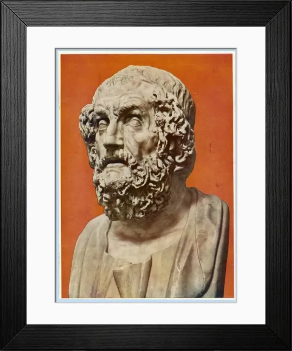 Framed Print : Homer / Red Background Framed Print : Homer / Red Background