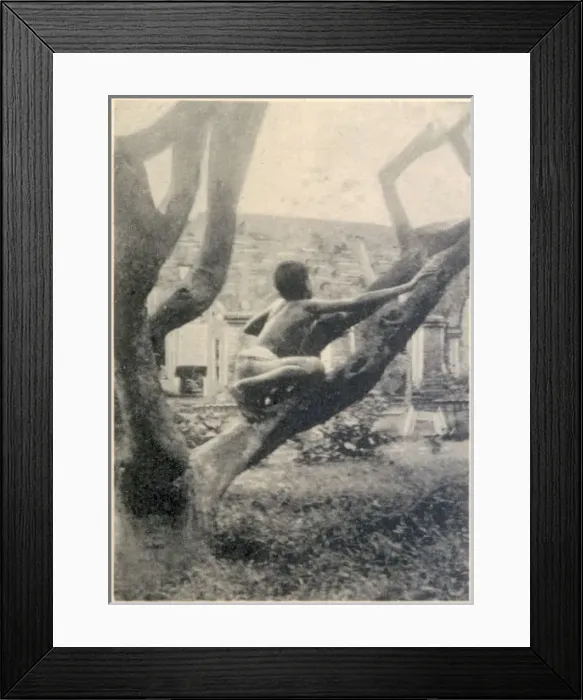 Framed Print : Kamala Climbing Framed Print : Kamala Climbing