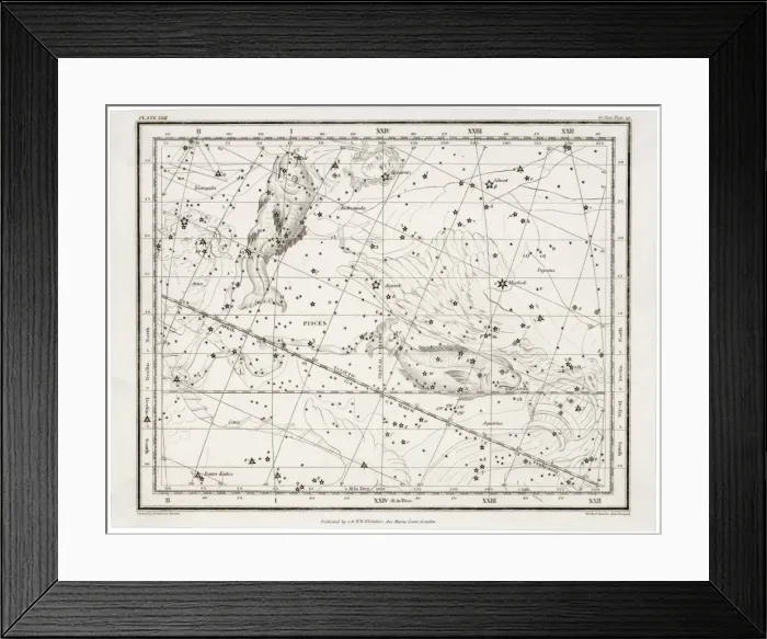 Framed Print : Whittaker / Pisces Framed Print : Whittaker / Pisces