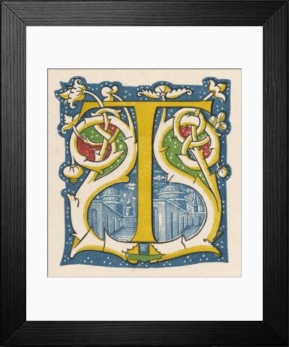 Framed Print : Alphabet / Illust / T (Shaw) Framed Print : Alphabet / Illust / T (Shaw)