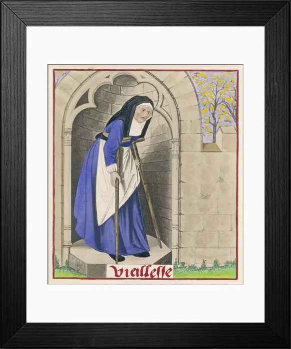 Framed Print : Romaunt of the Rose