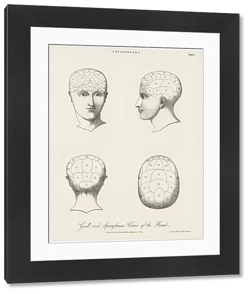 Phrenological Systems