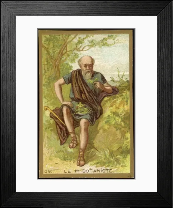 Framed Print : First Botany Framed Print : First Botany