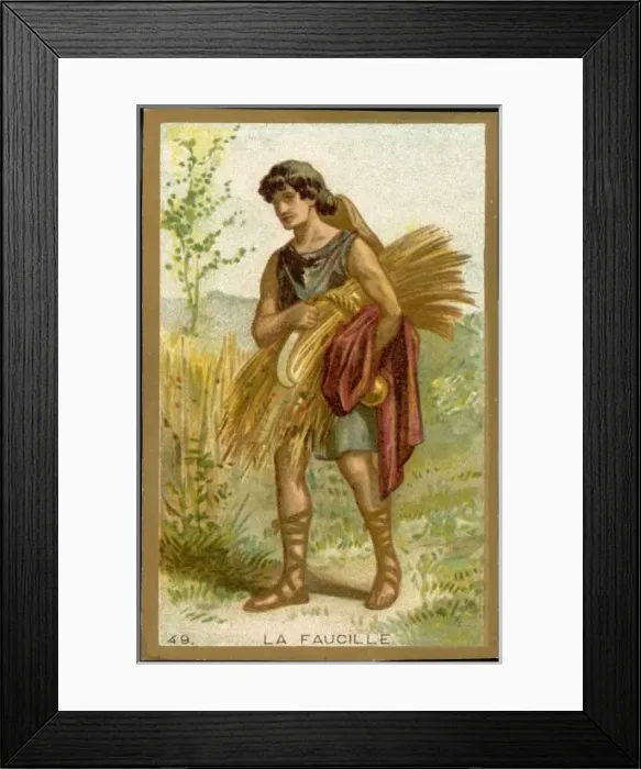 Framed Print : First Sickle Framed Print : First Sickle