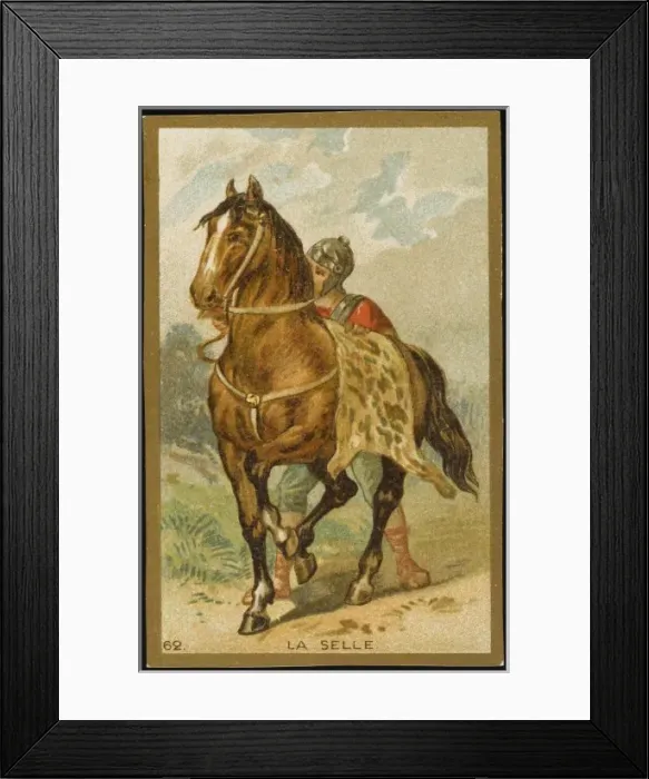 Framed Print : First Saddle Framed Print : First Saddle