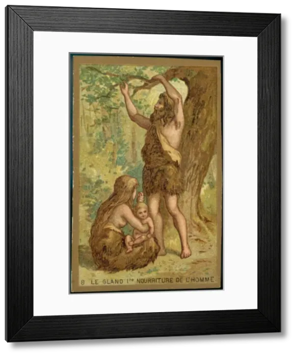 Framed Print : First Foodstuff Framed Print : First Foodstuff