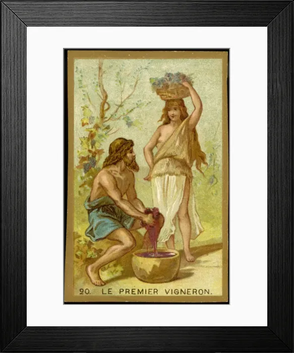 Framed Print : First Vineyard