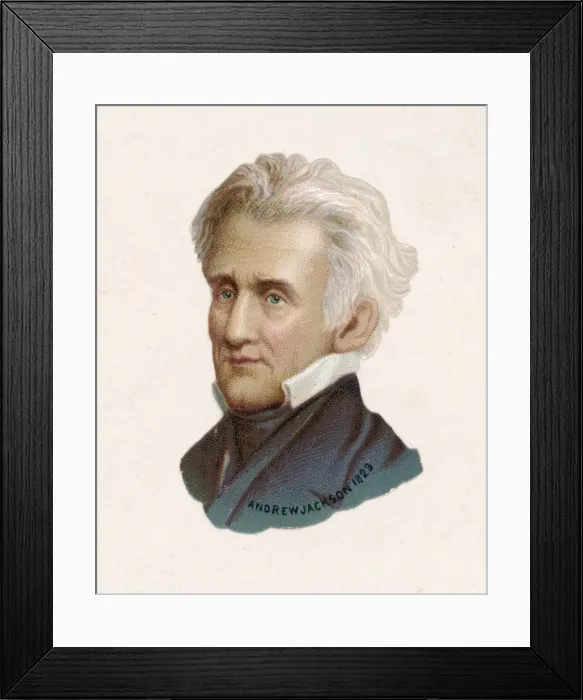 Framed Print : Andrew Jackson [Scrap]