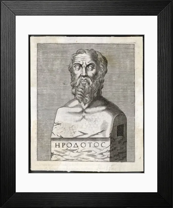 Framed Print : Herodotus / Anon Bust Framed Print : Herodotus / Anon Bust