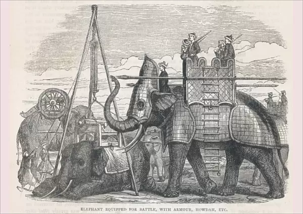 Elephant in Armour