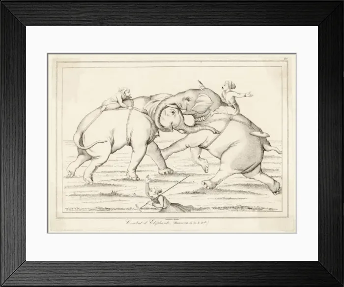 Framed Print : Elephant Fight / Lemaitre Framed Print : Elephant Fight / Lemaitre