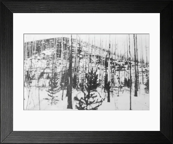 Framed Print : Tunguska in 1927 Framed Print : Tunguska in 1927