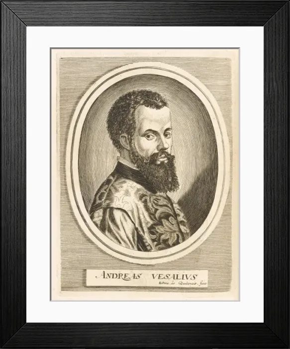 Framed Print : Vesalius / Boulonois Framed Print : Vesalius / Boulonois