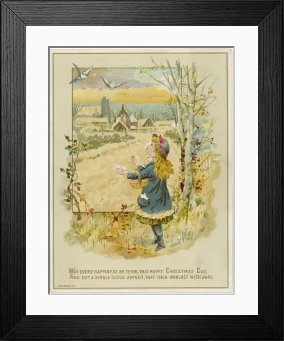 Framed Print : Girl Feeds Birds Framed Print : Girl Feeds Birds