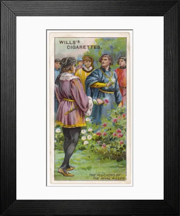 Framed Print : Roses Red, Roses White Framed Print : Roses Red, Roses White