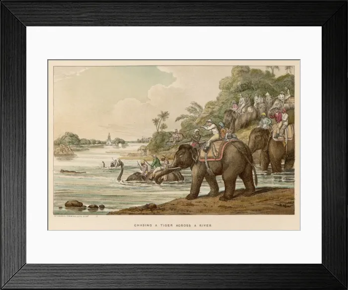 Framed Print : Williamson / Tiger / River Framed Print : Williamson / Tiger / River