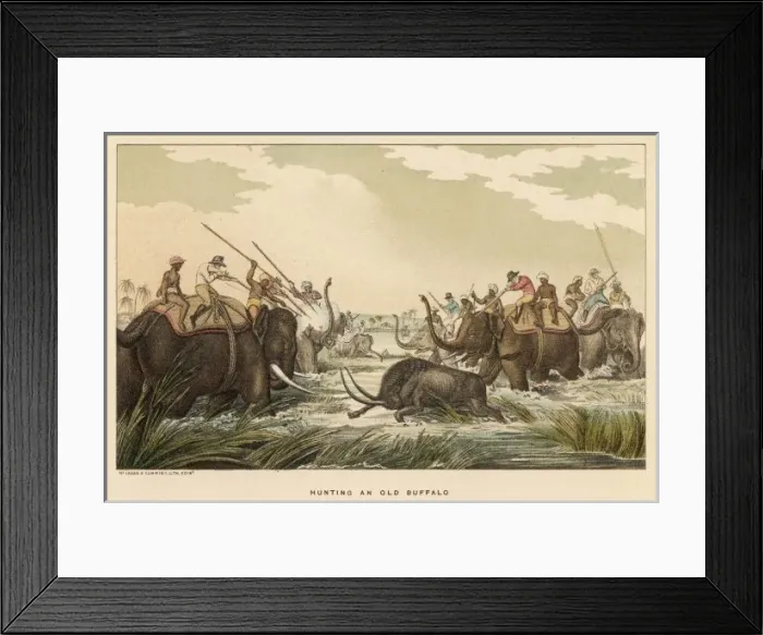 Framed Print : Williamson / Buffalo Hunt Framed Print : Williamson / Buffalo Hunt
