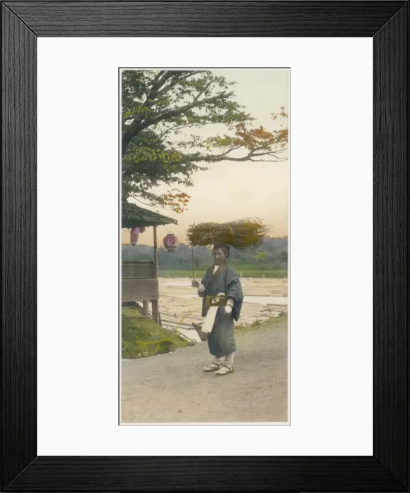 Framed Print : Racial / Japan / Woman C1900 Framed Print : Racial / Japan / Woman C1900