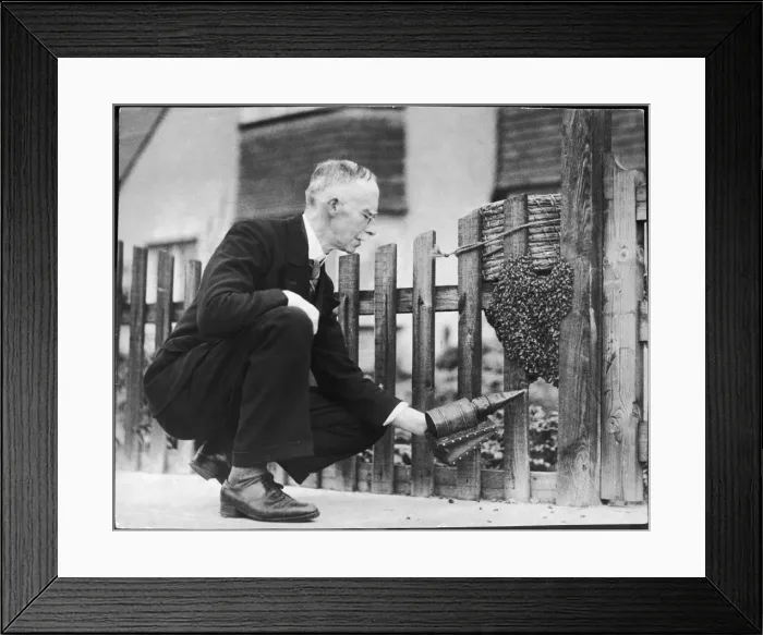 Framed Print : Beehive on a Gatepost Framed Print : Beehive on a Gatepost