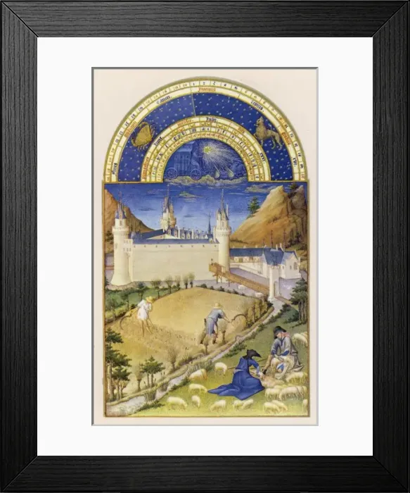 Framed Print : Harvest, Sheep C15 Framed Print : Harvest, Sheep C15