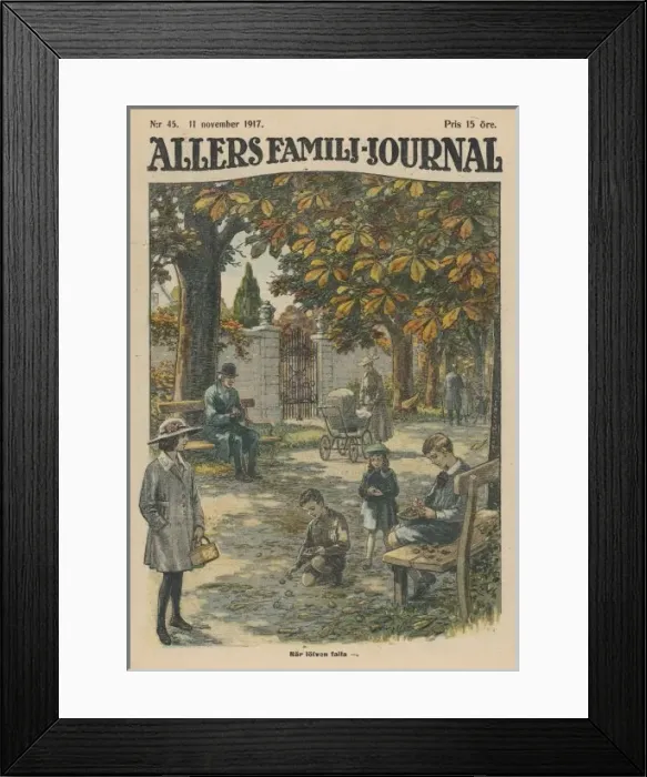 Framed Print : Autumn Scene Framed Print : Autumn Scene