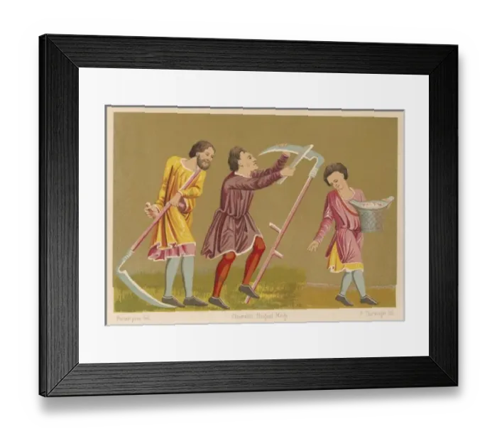 Framed Print : Scything, Sowing, C13 Framed Print : Scything, Sowing, C13