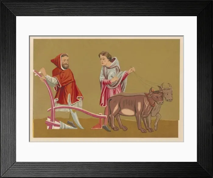 Framed Print : Ploughing, C13 France Framed Print : Ploughing, C13 France