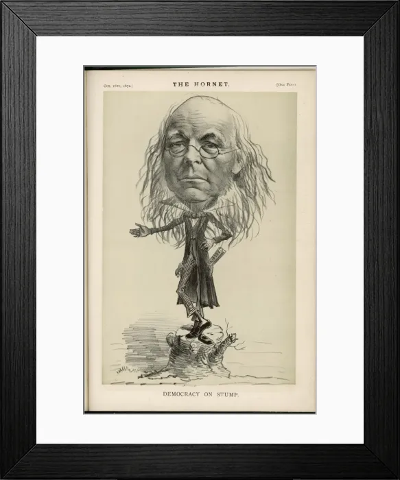Framed Print : Horace Greeley / Hornet Framed Print : Horace Greeley / Hornet