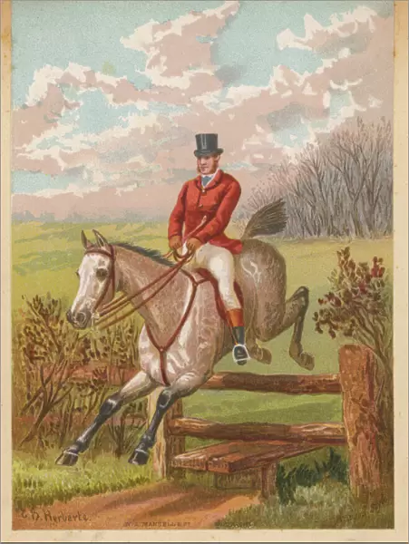 Fox Hunt  /  Clearing Fence