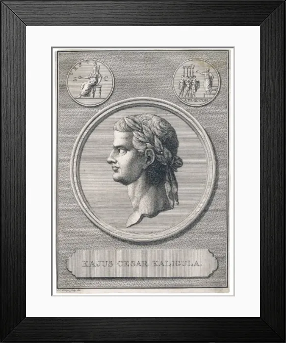 Framed Print : Caligula / Phillips Framed Print : Caligula / Phillips