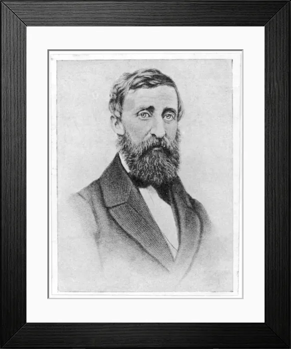 Framed Print : Henry David Thoreau Framed Print : Henry David Thoreau