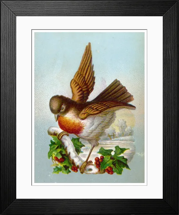 Framed Print : Robin with Winter Scene Framed Print : Robin with Winter Scene