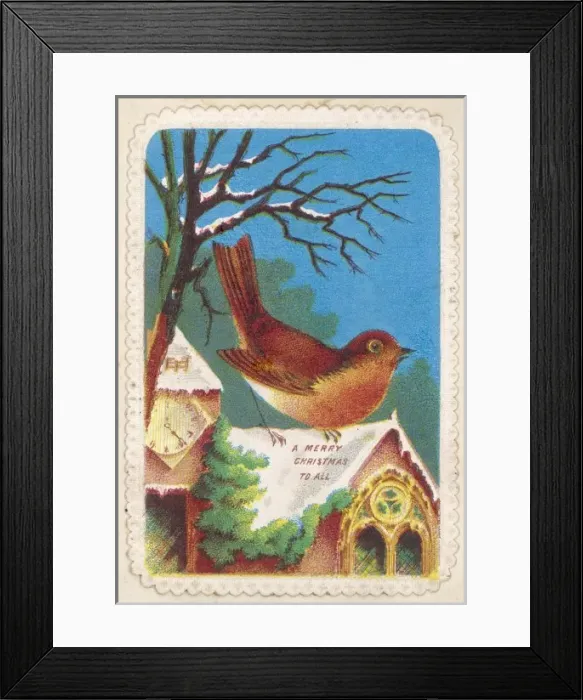 Framed Print : Robin on a Church Roof Framed Print : Robin on a Church Roof