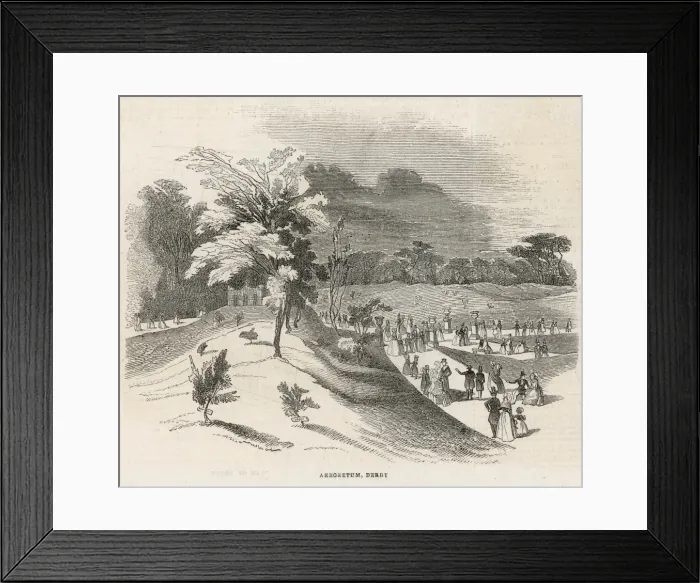 Framed Print : England / Derby Arboretum Framed Print : England / Derby Arboretum