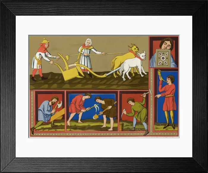 Framed Print : Ploughing, 11th Century Framed Print : Ploughing, 11th Century