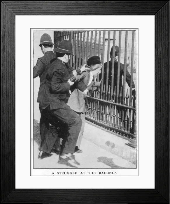 Framed Print : Buckingham Palace Framed Print : Buckingham Palace
