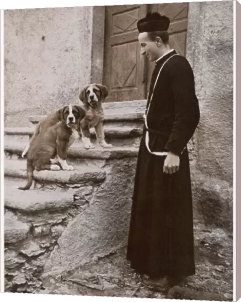 St Bernard Prior & Dogs