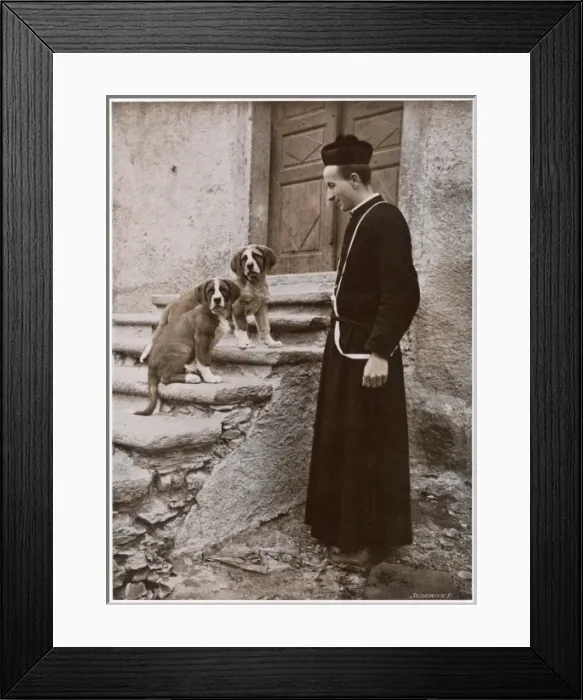 Framed Print : St Bernard Prior & Dogs Framed Print : St Bernard Prior & Dogs